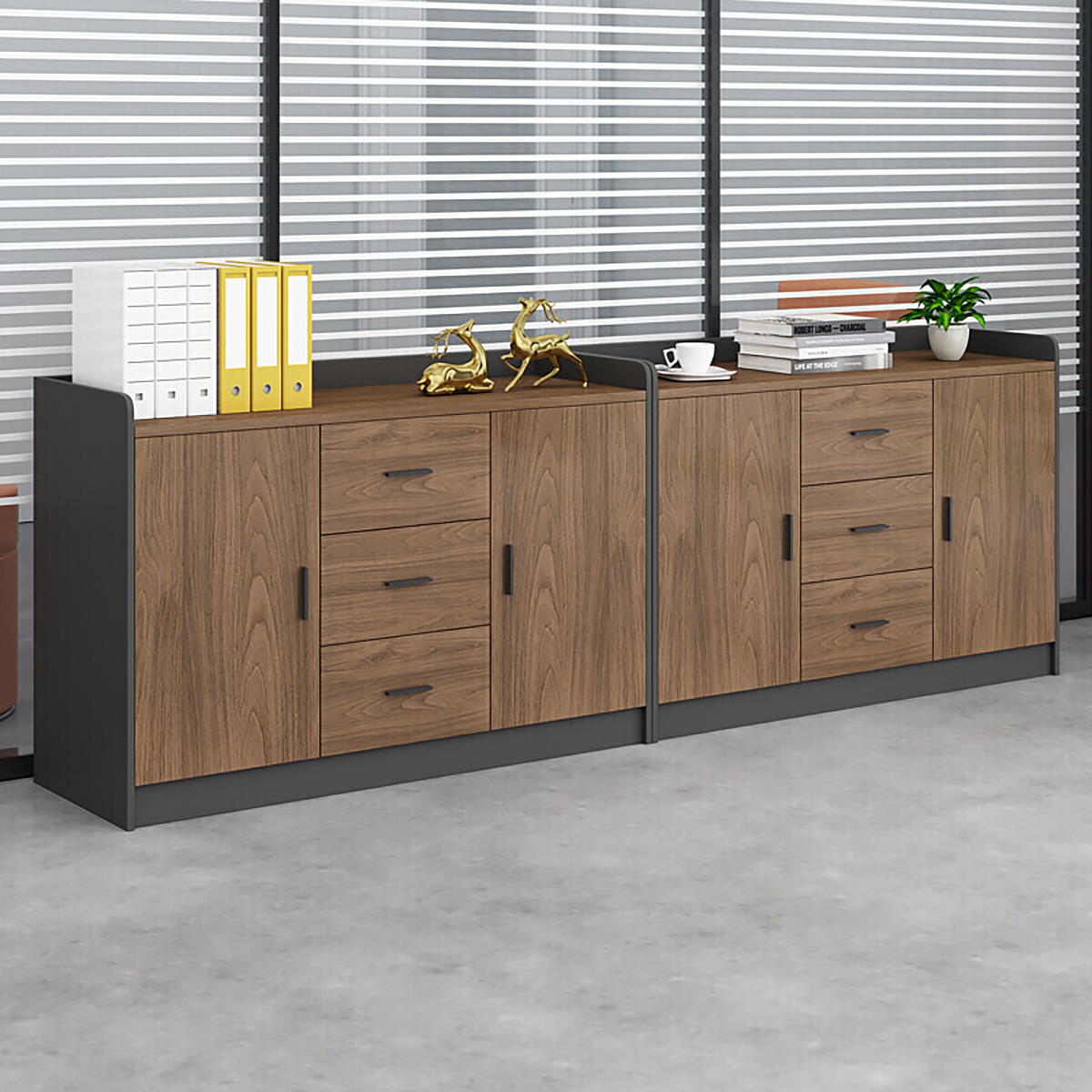 Modern Office Storage Cabinet for Documents &amp; Office Equipment FC-002