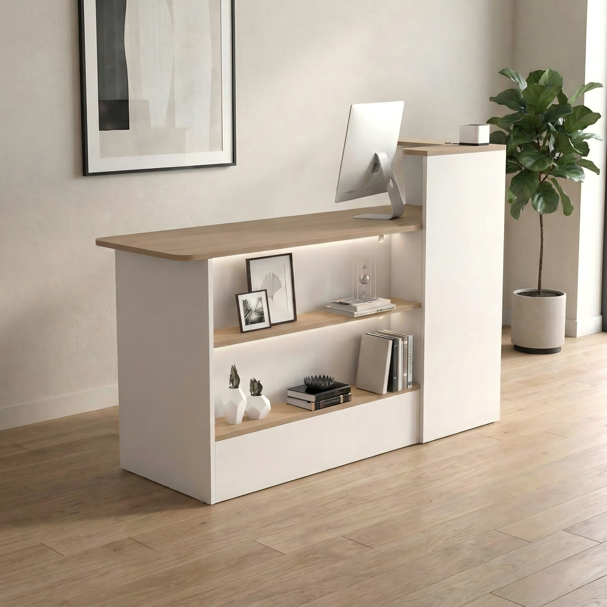 Chic Salon Office Shop Store Institution Reception Desk RD-111